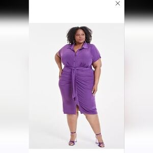 NWT-Nina ParkerTrendy Plus Size Tie-Front Ruched Shirtdress
